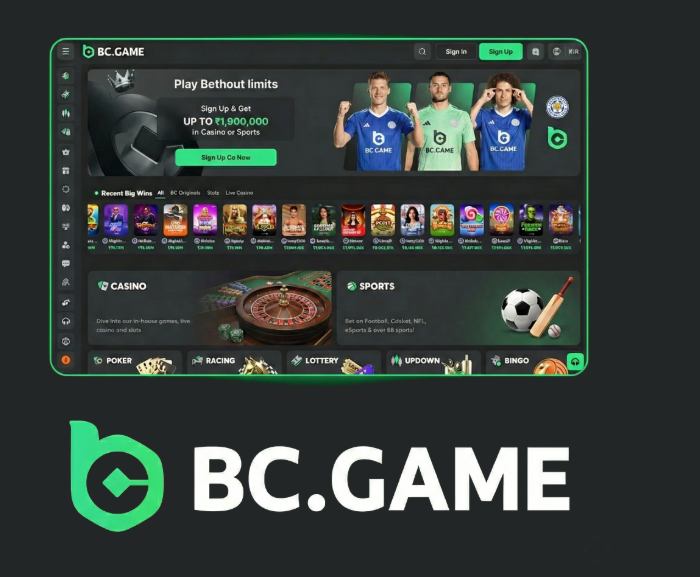 Explore the Exciting Features of the BC.Game Mobile App